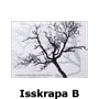 Isskrapa B